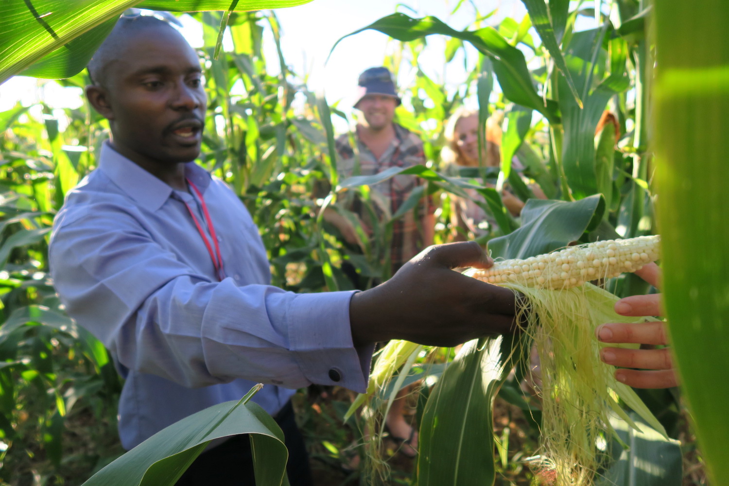Mildura’s Burundian Community Farm Open Food Network Australia