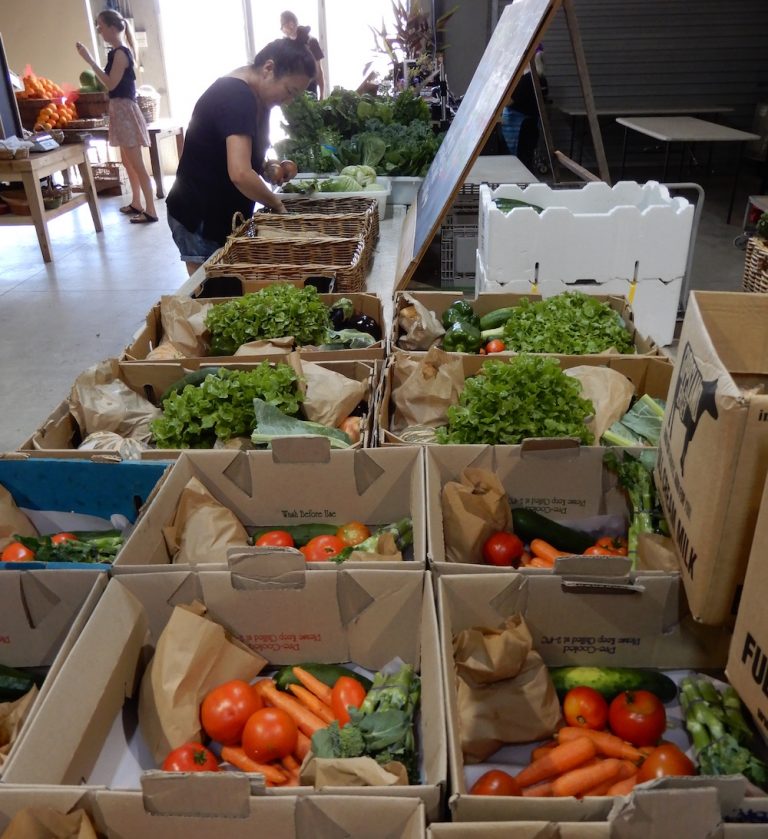 Open Food Network shop management Open Food Network Australia