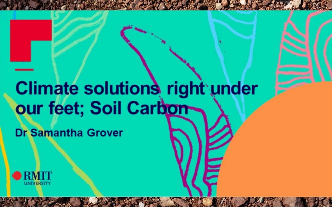 Soil Carbon: Climate solutions right under our feet