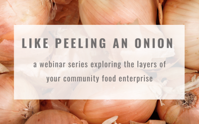 Webinar Series: Like Peeling an Onion