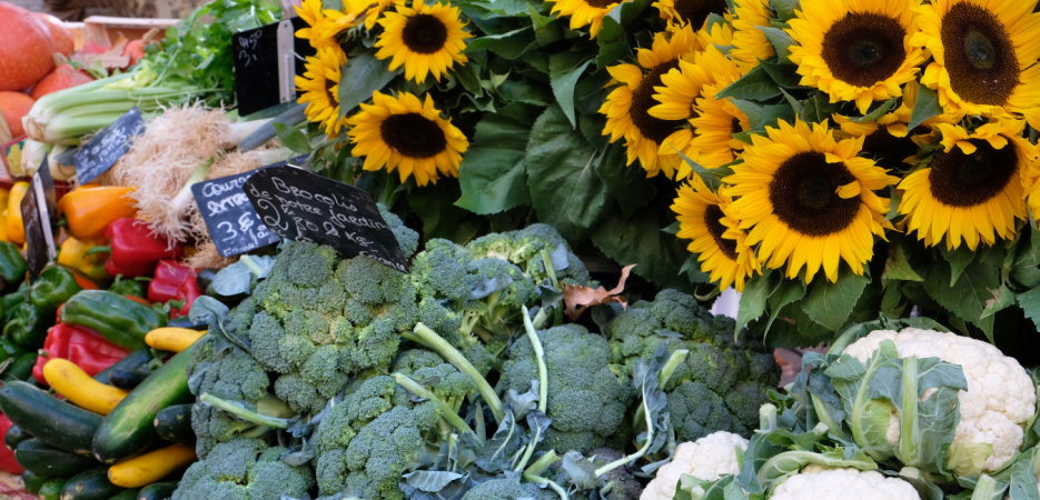 flowers and vegetables