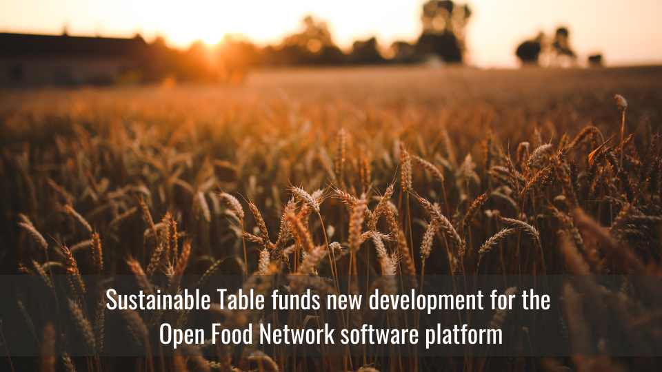 Image of a wheat field with the text Sustainable Table funds new development for the Open Food Network Software platform.