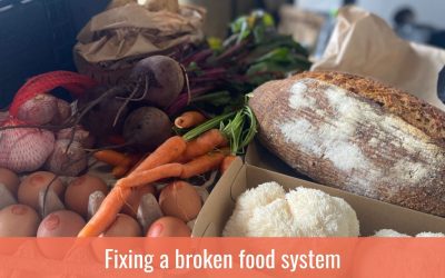 Fixing a broken food system