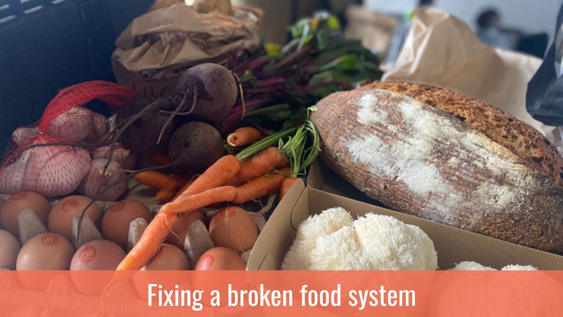 Fixing a broken food system - Image of fresh produce at the Tasmainan Produce Collective Food Hub. Image courtesy of Tasmanian Produce Collective. 