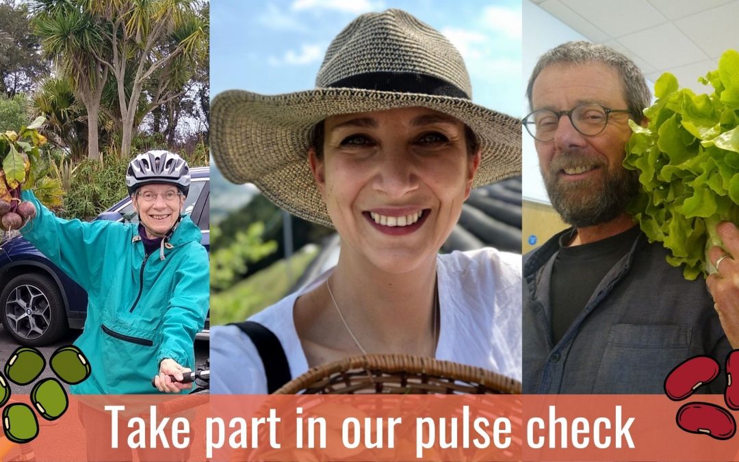 Take part in our Pulse Check