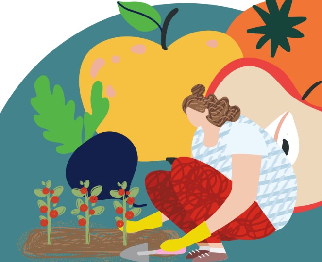 An illustration of a fruit producer gardening in her garden with giant fruit behind her. 