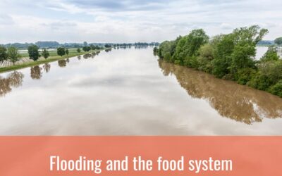 Flooding and the food system